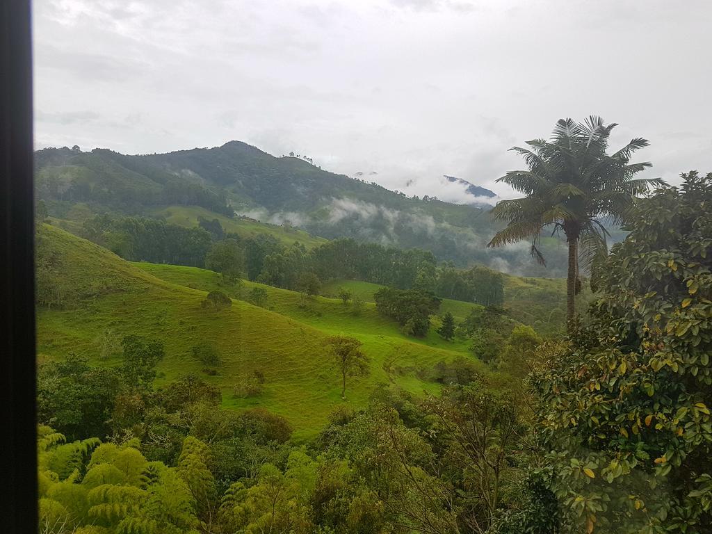 Mirador De Los Cedros Саленто Экстерьер фото