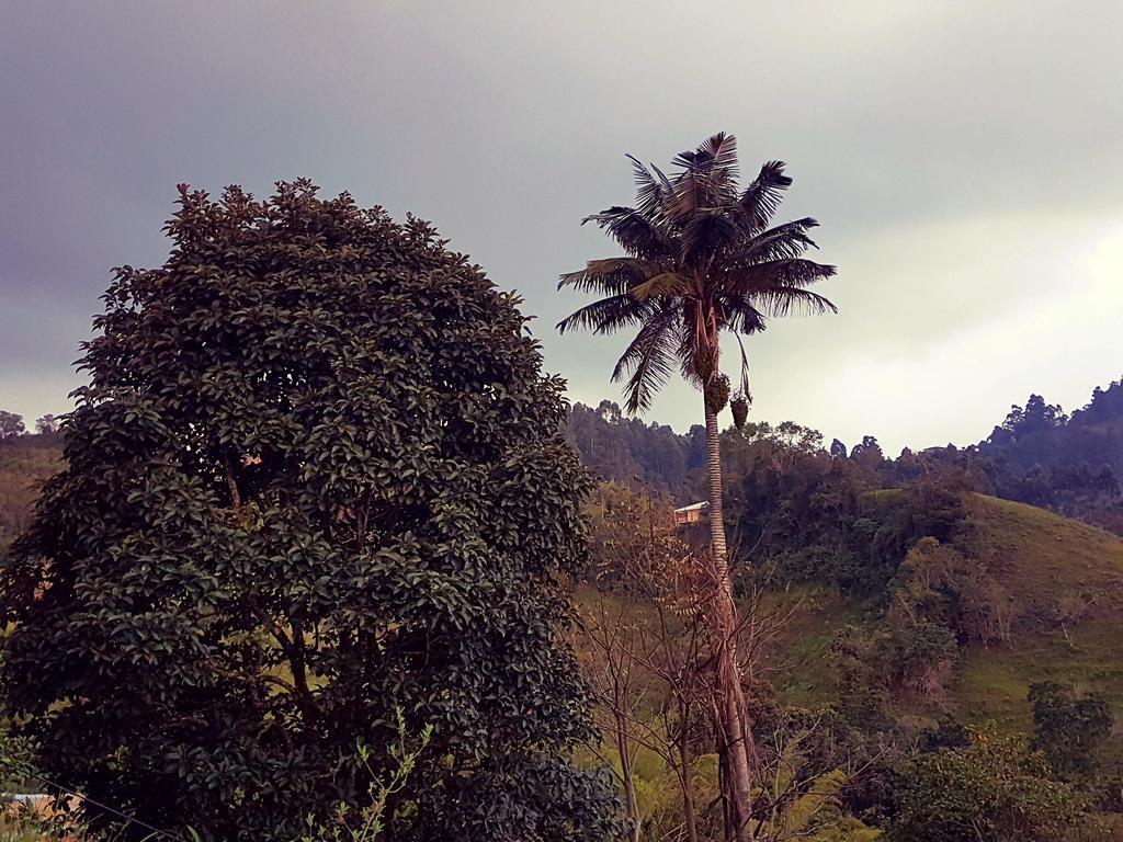 Mirador De Los Cedros Саленто Экстерьер фото